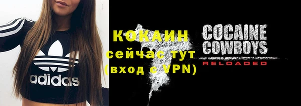 a pvp Пересвет