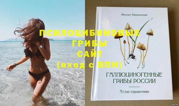 кокс Пестово
