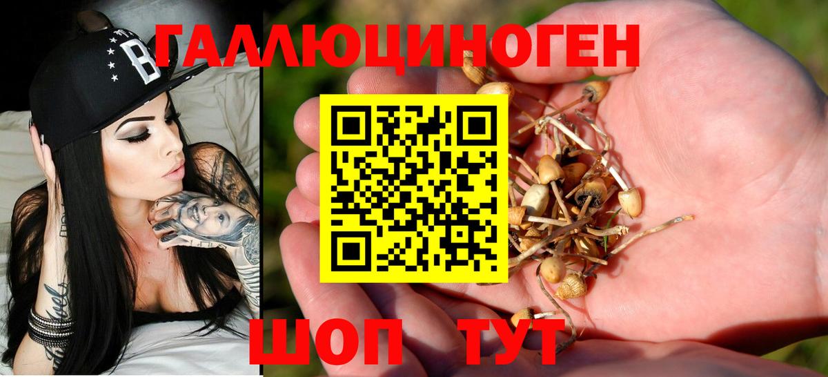 Галлюциногенные грибы прущие грибы  Галлюциногенные грибы MAGIC MUSHROOMS  Россошь  Вход с VPN 