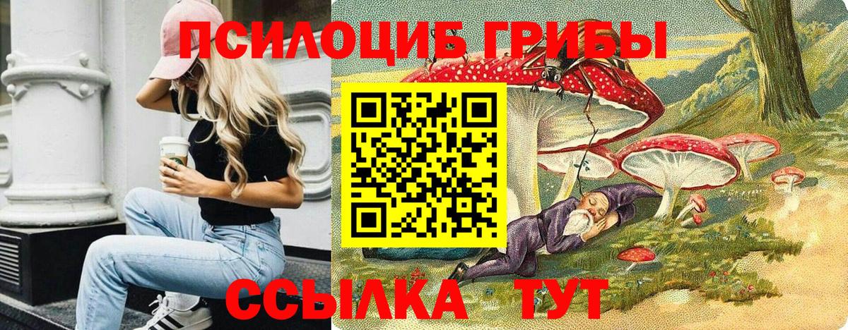 Галлюциногенные грибы Psilocybine cubensis Россошь